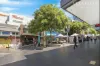 10 Moriarty Road, Chatswood, NSW 2067-Image