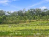 143 Attenborough Dr, Banya, Qld 4551-Image
