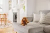 15 Liverpool Street, Paddington, NSW 2021-Image