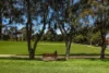 16/39 Garland Road, Naremburn, NSW 2065-Image