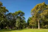 165 Alexander Street, Crows Nest, NSW 2065-Image