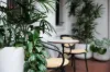 20 Rockwall Crescent, Potts Point, NSW 2011-Image