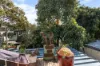 223 Abercrombie Street, Darlington, NSW 2008-Image