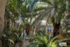 39 Moore Park Road, Centennial Park, NSW 2021