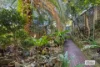 39 Moore Park Road, Centennial Park, NSW 2021-Image