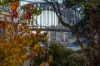 42 Lavender Street, Lavender Bay, NSW 2060-Image