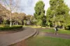 5 Warren Ball Avenue, Newtown, NSW 2042-Image