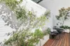 559 Bourke Street, Surry Hills, NSW 2010-Image