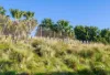 68 William Street, Redfern, NSW 2016-Image