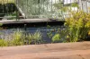 70 Sutherland Street, Paddington, NSW 2021-Image