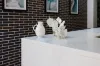 77 Cascade Street, Paddington, NSW 2021-Image