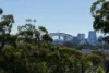 80 Brougham Street, Potts Point, NSW 2011-Image