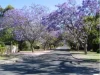 1/1-3 MacLeod Road, Applecross, WA 6153-Image