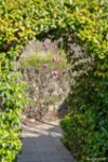 1/12 Callemonda Rise, O'Malley, ACT 2606-Image