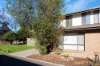 1/241-243 Anzac Highway, Plympton, SA 5038