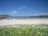 1/3 Angus Mcleod Place, Coffs Harbour, NSW 2450-Image