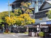 1/35 Silva Street, Ascot, Qld 4007-Image