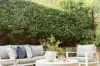 1/77-79 Thomas Street, Parramatta, NSW 2150-Image