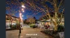 1/8 Macpherson Street, Cremorne, NSW 2090-Image