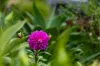 1 John Close, Merimbula, NSW 2548-Image