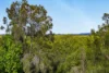 10/1 Lake Serenity Boulevard, Helensvale, Qld 4212-Image