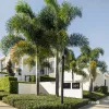 10/164 Government Road, Richlands, Qld 4077-Image