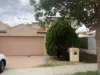107 McDonald Street, Joondanna, WA 6060-Image