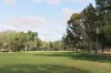 11/23 Chave Street, Holt, ACT 2615-Image