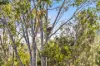 11/4 Fleay Court, Burleigh Heads, Qld 4220-Image