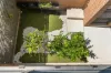11/5 Trist Street, Franklin, ACT 2913-Image