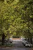 113-115 Chomley Street, Prahran, Vic 3181-Image