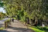 11A Jasmine Grove, Fulham Gardens, SA 5024-Image