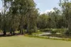 12/76 Minnippi Boulevard, Cannon Hill QLD 4170-Image