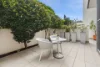 12 Thomas Street, Balgowlah, NSW 2093-Image