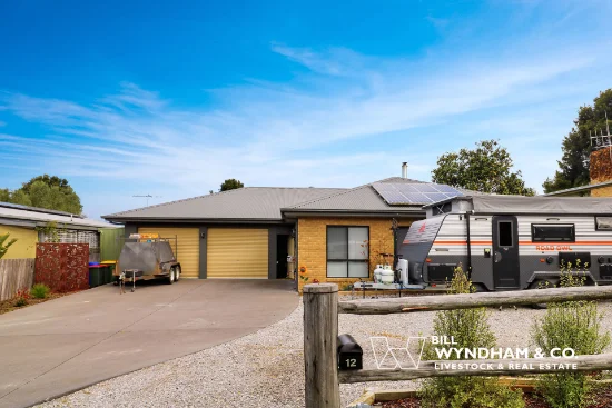 12 Tynon Street, Orbost, Vic 3888