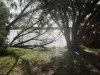 13/115 Herdsman Parade, Wembley, WA 6014-Image