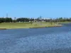 13/3028 The Boulevard, Carrara, Qld 4211-Image