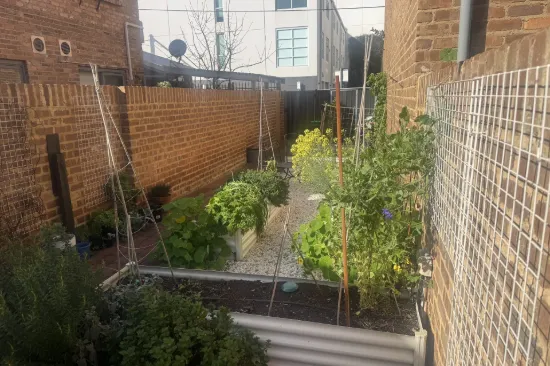 137 Gilbert Street, Adelaide, SA 5000-Image