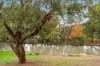 14/11 Togo Place, Gordon, ACT 2906-Image