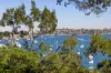 14/2-6 Louisa Road, Birchgrove, NSW 2041-Image