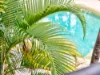 15/15 Ancona Street, Carrara QLD 4211-Image