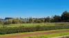 15/19 Fogerthorpe Crescent, Maylands, WA 6051-Image