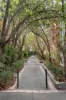 15 Cromwell Place, South Yarra, Vic 3141-Image