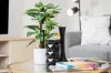 15A Duke Street, Sunshine, Vic 3020-Image