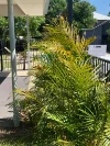 16/54 BRIGGS ROAD, Raceview, Qld 4305-Image