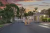 17/115 Gumtree Street, Runcorn, Qld 4113-Image