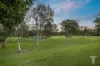 17 Rosewood Place, Murarrie, Qld 4172-Image