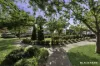 17c Ryrie Street, Campbell, ACT 2612-Image