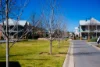 18 ELMWOOD CIRCUIT, Wodonga, Vic 3690-Image