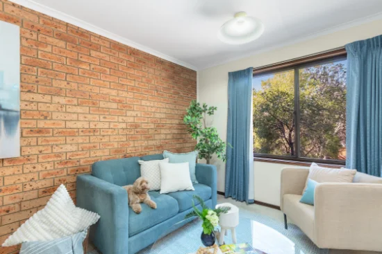 19 Rowe Place, Phillip, ACT 2606